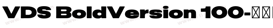 VDS BoldVersion 100字体转换